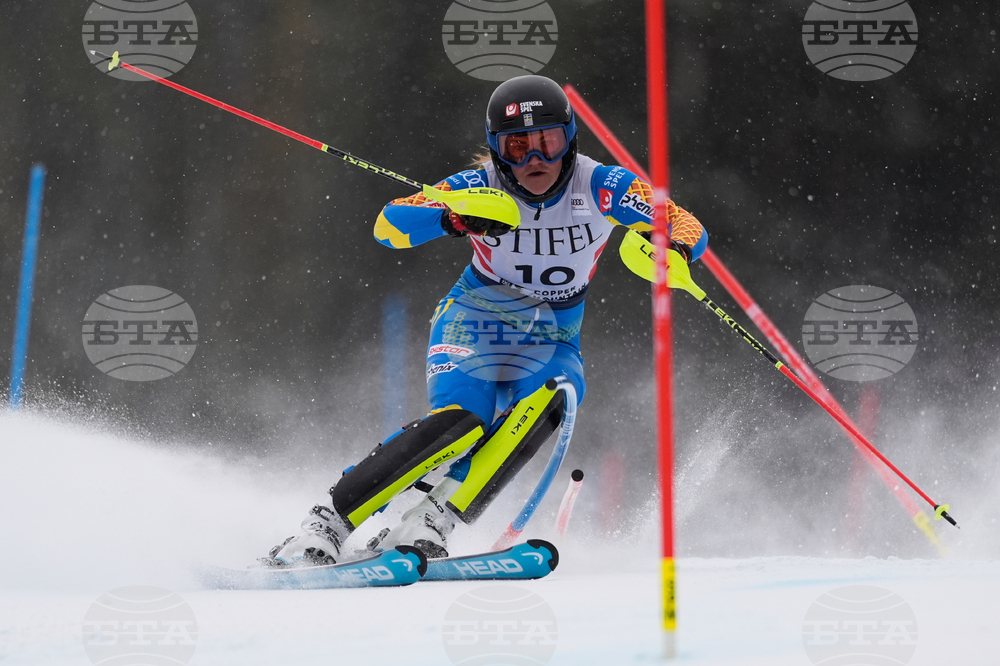 United States World Cup Slalom Skiing