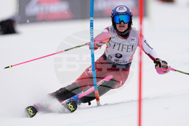 United States World Cup Slalom Skiing