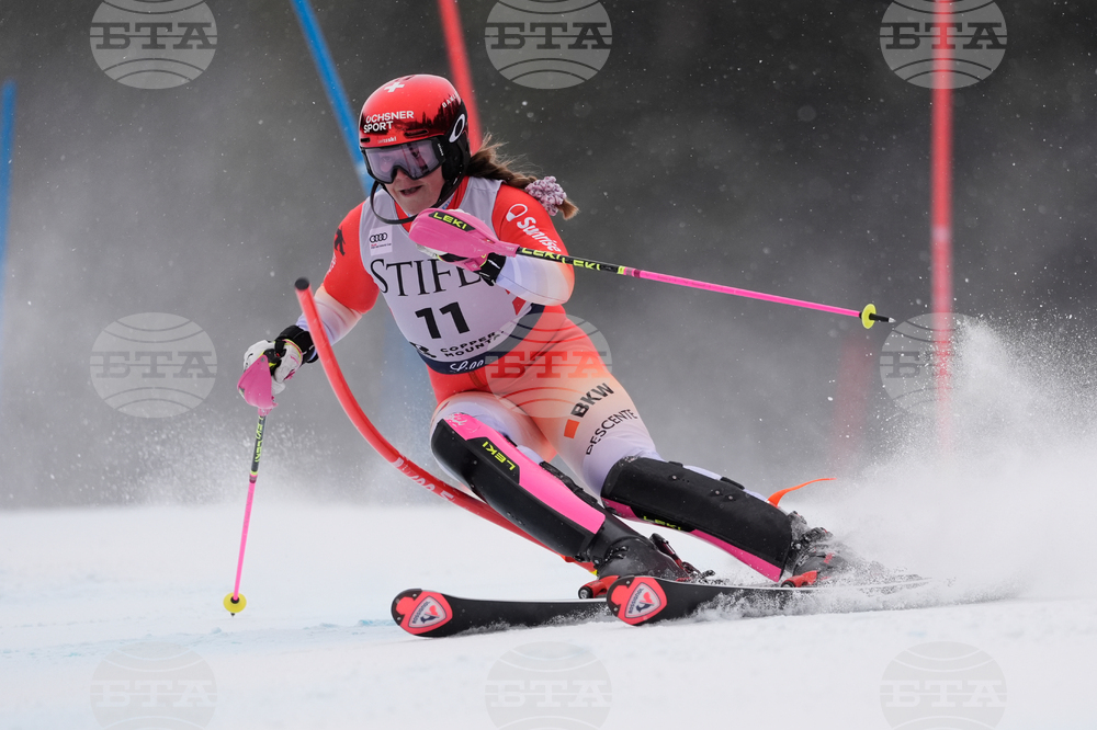 United States World Cup Slalom Skiing