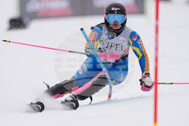 United States World Cup Slalom Skiing