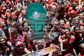 Brazil Copa Libertadores Soccer