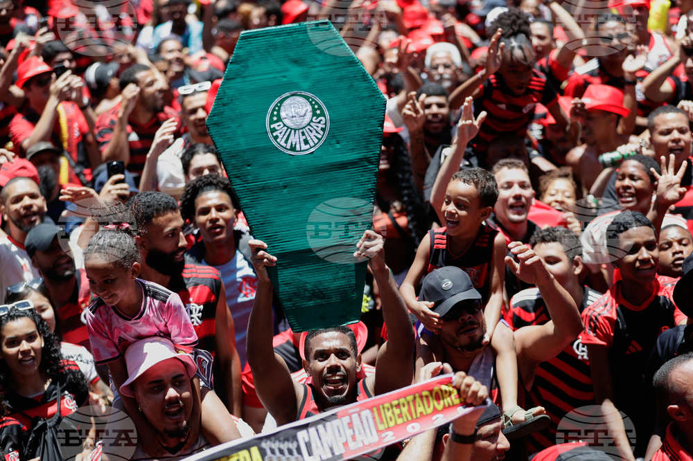 Brazil Copa Libertadores Soccer