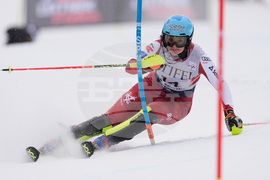 United States World Cup Slalom Skiing