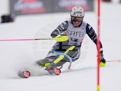 United States World Cup Slalom Skiing