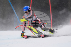 United States World Cup Slalom Skiing