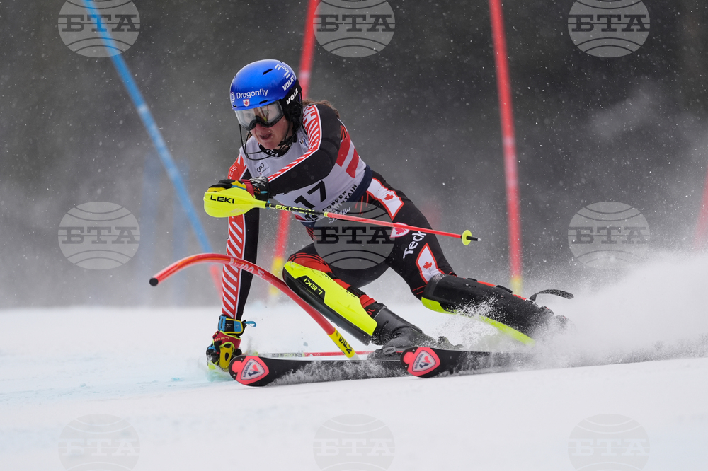 United States World Cup Slalom Skiing