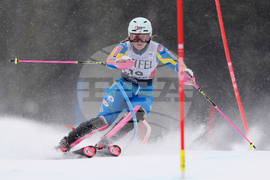 United States World Cup Slalom Skiing