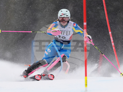 United States World Cup Slalom Skiing