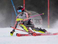 United States World Cup Slalom Skiing