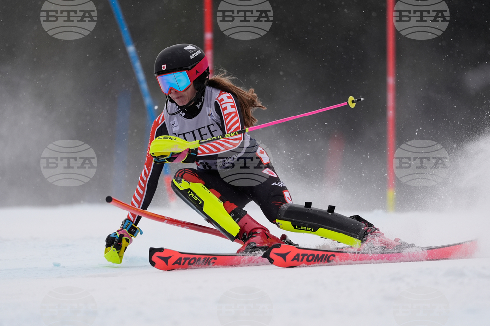 United States World Cup Slalom Skiing