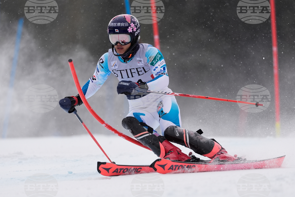 United States World Cup Slalom Skiing