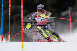 United States World Cup Slalom Skiing