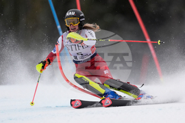 United States World Cup Slalom Skiing