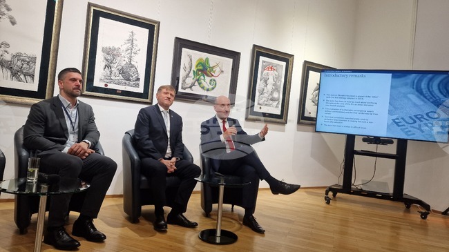 Еврото беше важно за привличането на инвестиции в Словакия и премахна валутния риск, каза за БТА главният икономист на Словашката централна банка Михал Хорват 