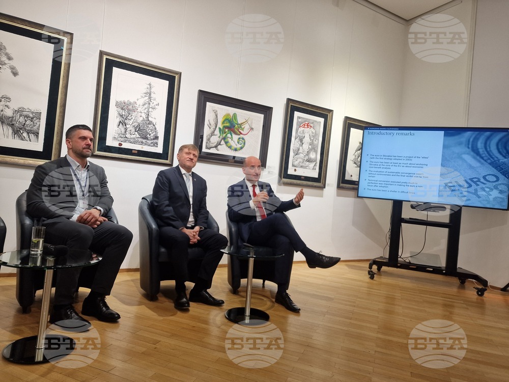 Euro Has Been Key to Attracting Investment, Eliminating Currency Risk in Slovakia - Central Bank Chief Economist