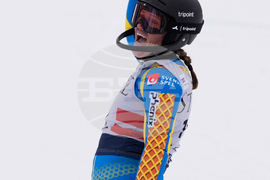 United States World Cup Slalom Skiing