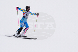 United States World Cup Slalom Skiing