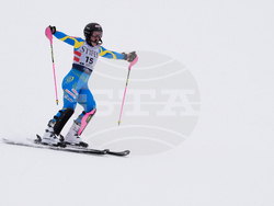 United States World Cup Slalom Skiing