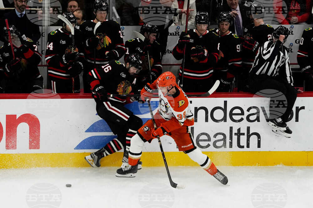 Ducks Blackhawks Hockey