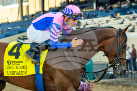 Del Mar Horse Racing