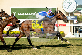 Del Mar Horse Racing