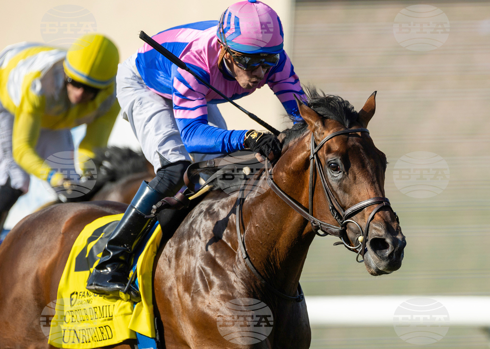 Del Mar Horse Racing