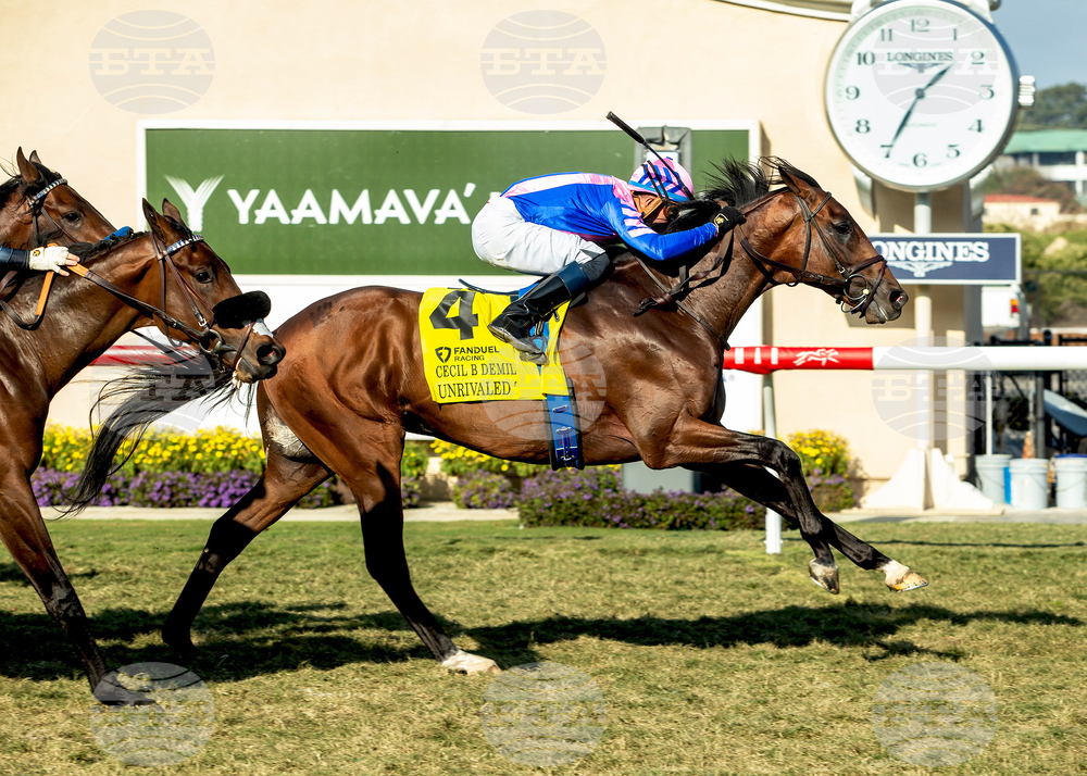 Del Mar Horse Racing