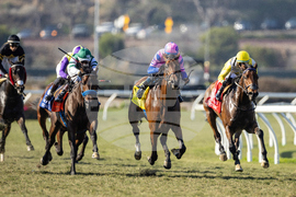 Del Mar Horse Racing