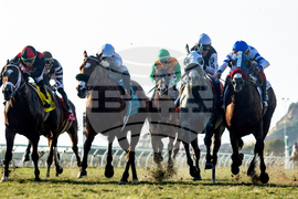 Del Mar Horse Racing