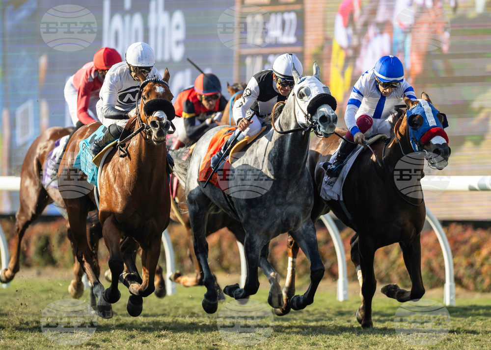 Del Mar Horse Racing