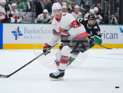 Senators Stars Hockey