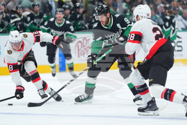 Senators Stars Hockey