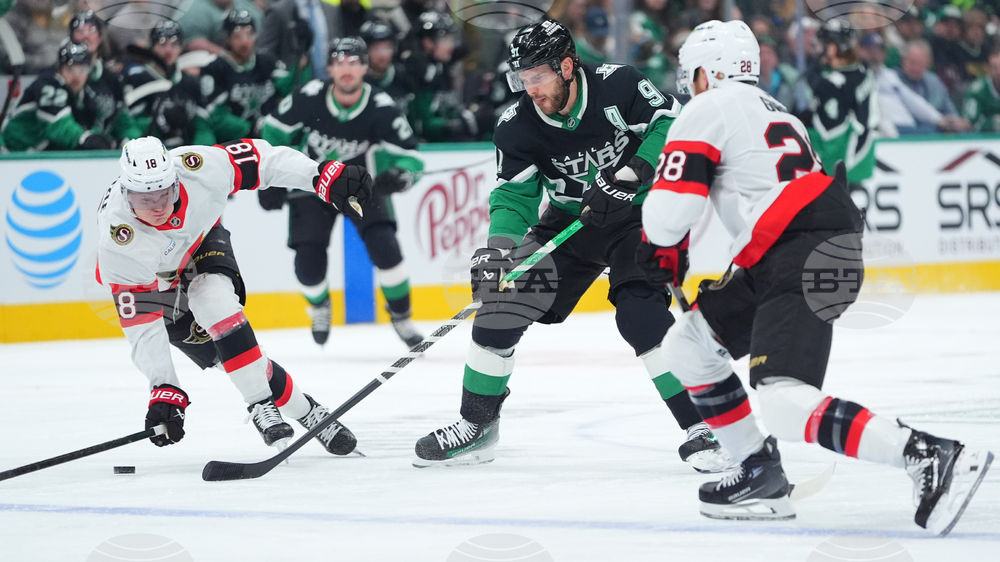 Senators Stars Hockey