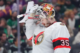 Senators Stars Hockey