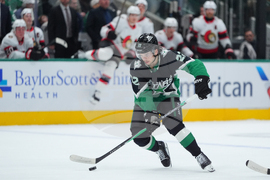 Senators Stars Hockey