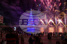 Brazil Christmas Tree