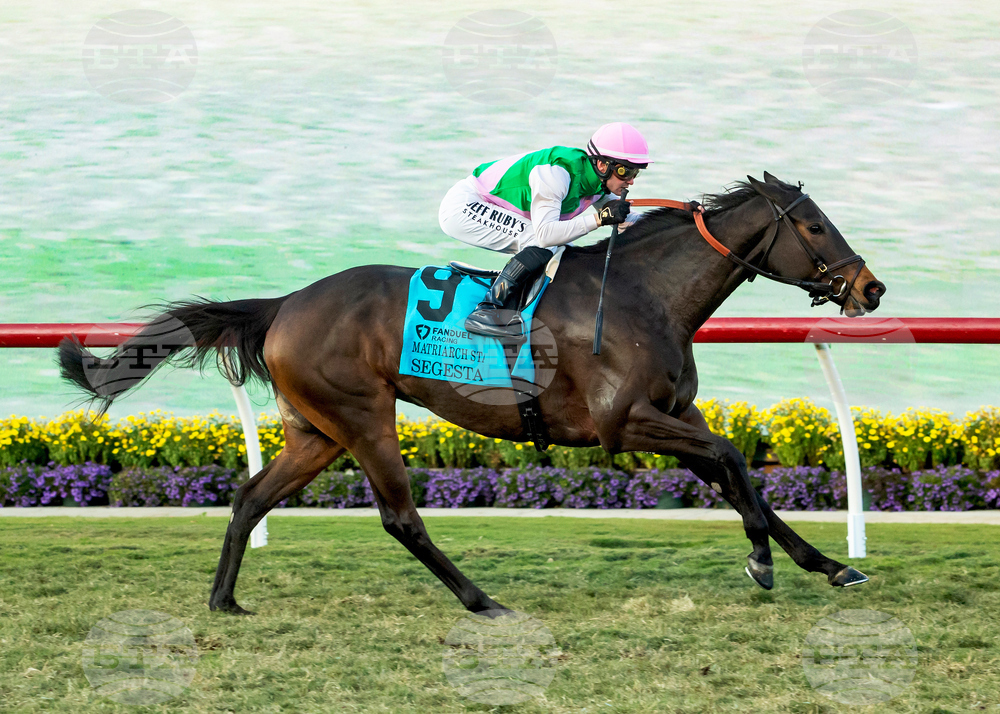 Del Mar Horse Racing