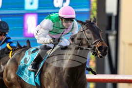 Del Mar Horse Racing