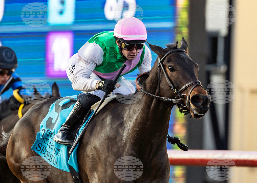 Del Mar Horse Racing