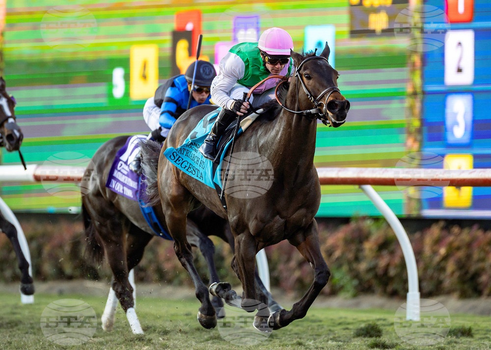 Del Mar Horse Racing