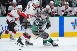 Senators Stars Hockey