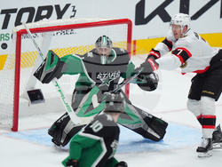 Senators Stars Hockey