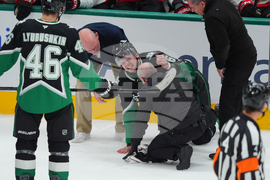 Senators Stars Hockey