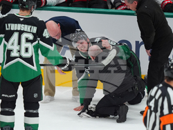 Senators Stars Hockey