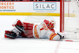 Flames Hurricanes Hockey