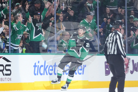 Senators Stars Hockey