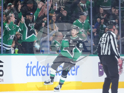 Senators Stars Hockey