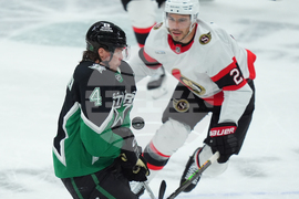 Senators Stars Hockey