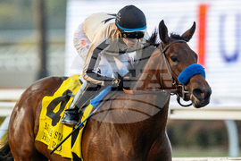 Del Mar Horse Racing