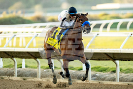 Del Mar Horse Racing